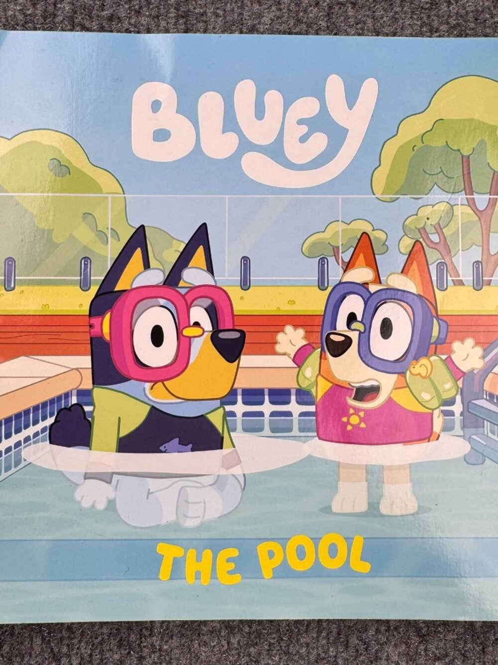 Bluey The Pool Paperback Childrens Picture Book Penguin Young Readers BBC 2022